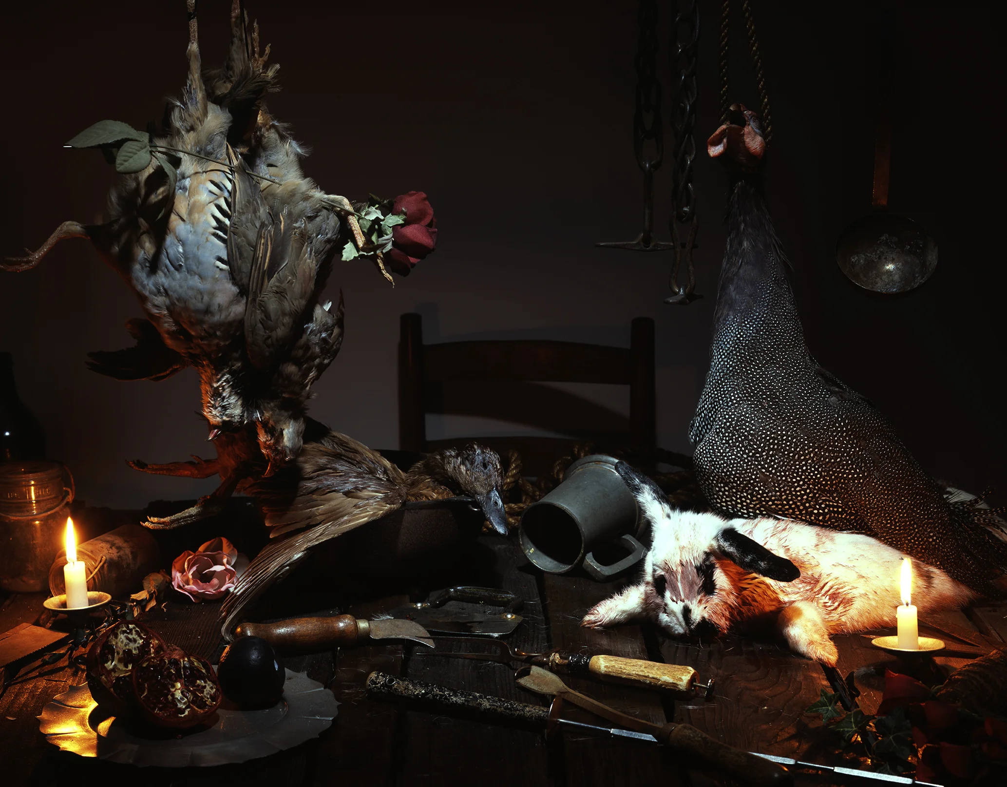 coelho005 print LR.jpg