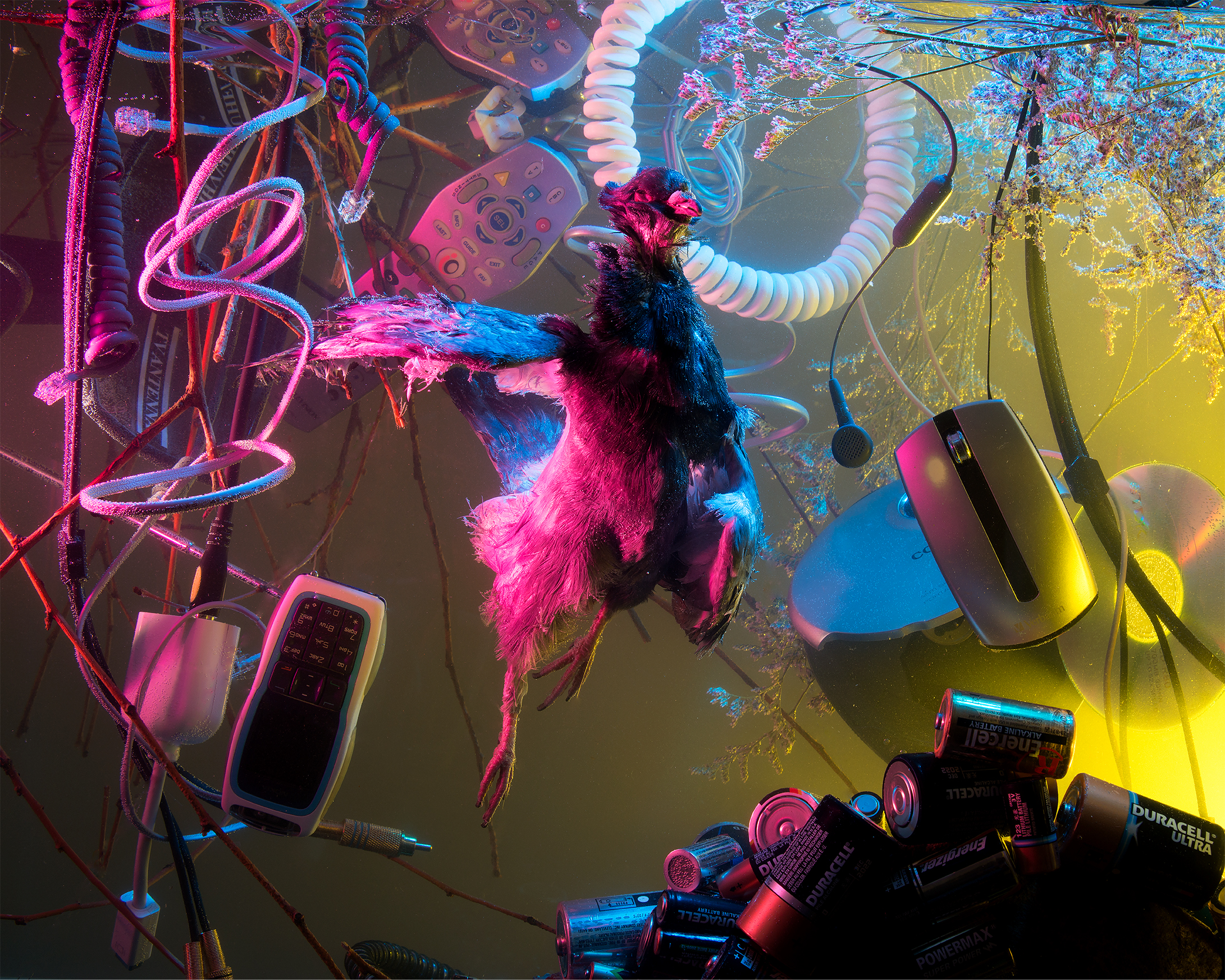 Pomba 24x30 print HAMMERMILL  final print LR.jpg