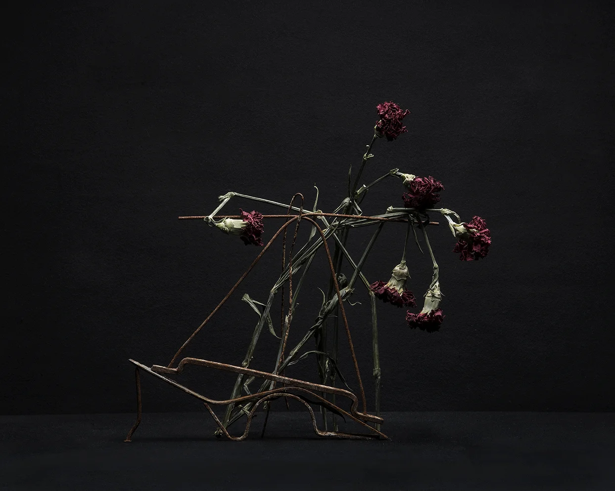 _MJP2363x hr sharpen c.jpg