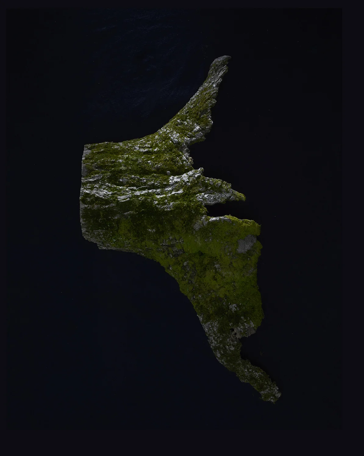 20161227_Nature Stills3795 LR.jpg