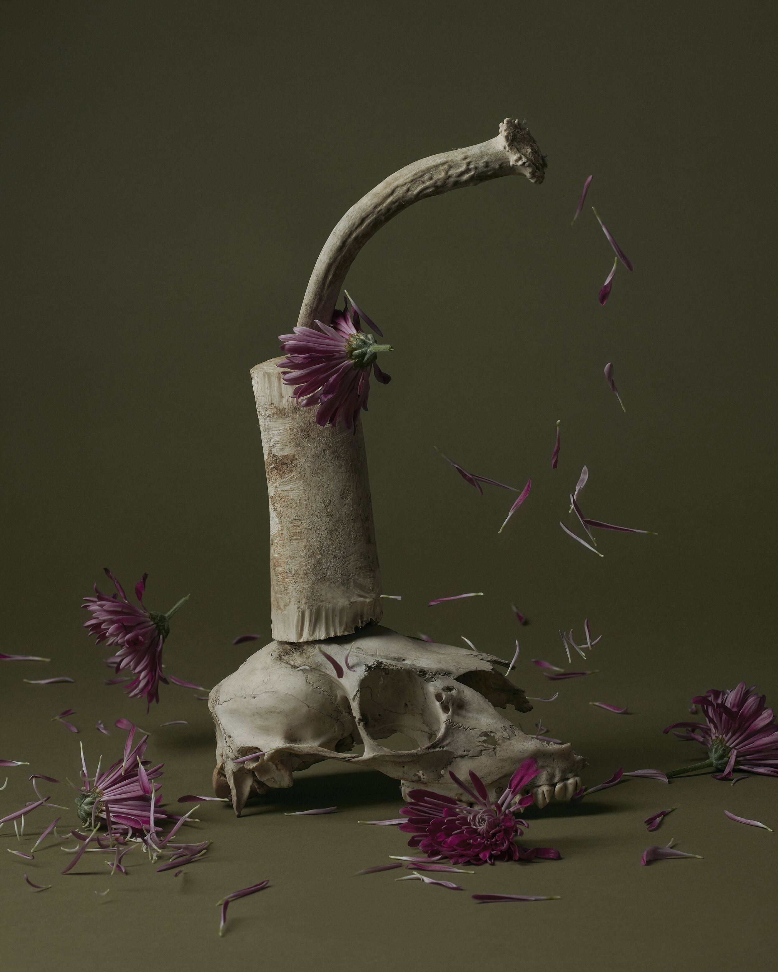 Skull Flowers Print LR site.jpg