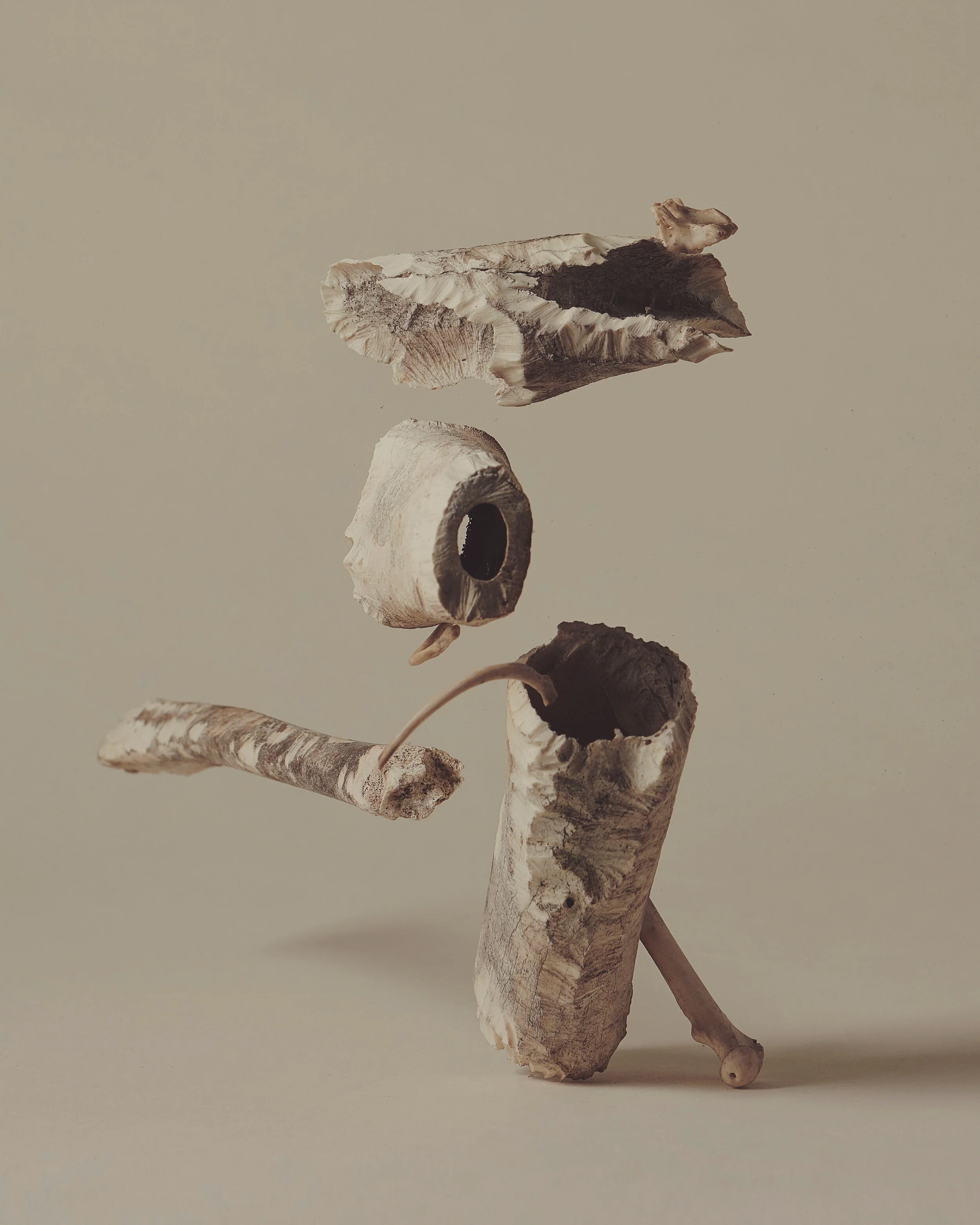 35B1E1E2-4317-45C8-8442-627E30B2A7DF 2.JPG