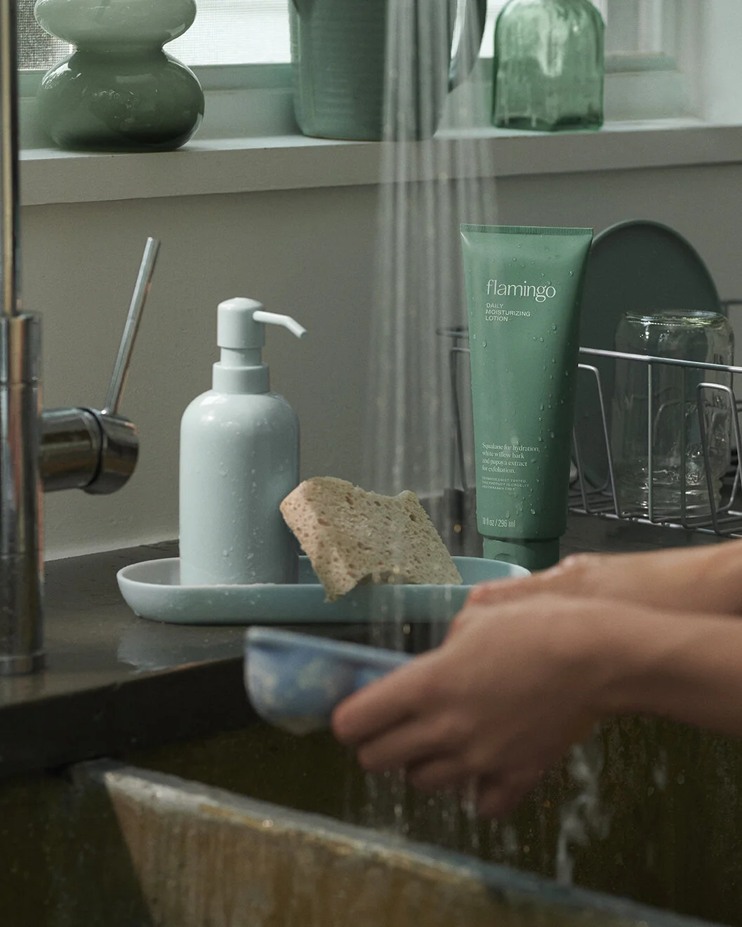 20201028_Flamingo Winter_Shot 17_2055_FINAL.jpg