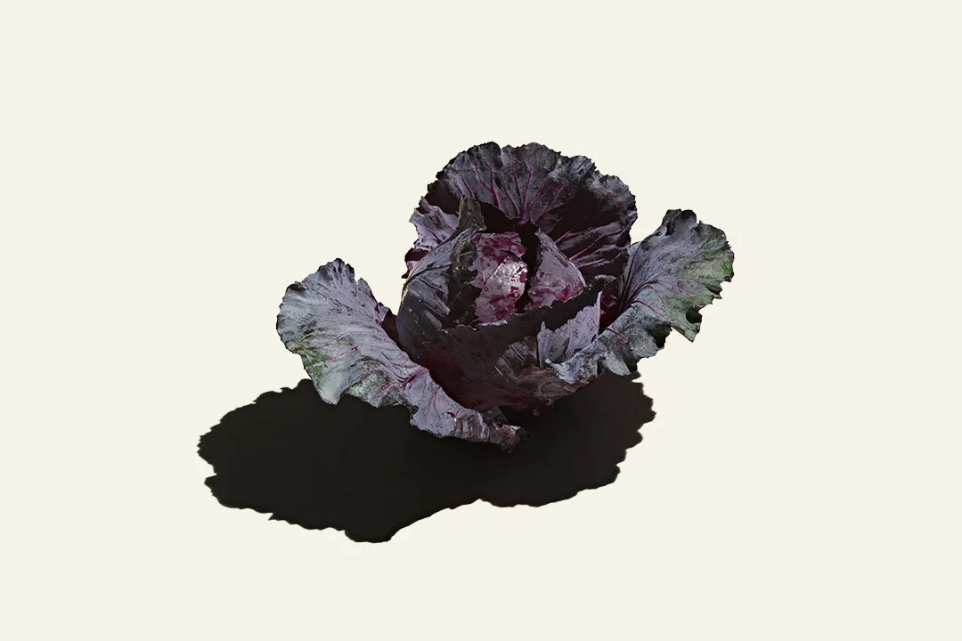 2021_02_24_shredded_cabbage_whole_three_quarter_digital_evergreen_1074_V1.jpg