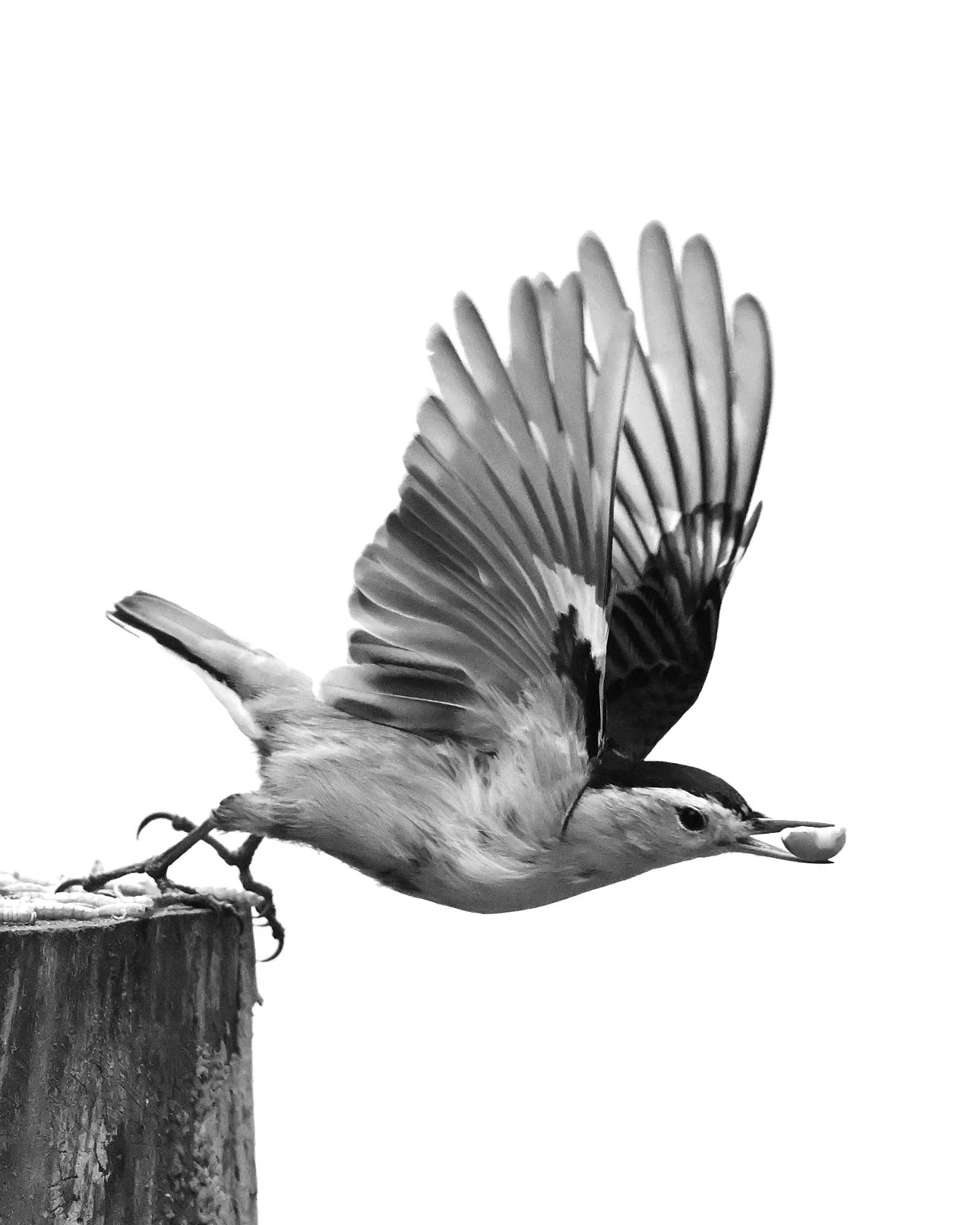 BDACB7BB-2F64-46F1-AE96-DEFDCF9B4FC8 3.JPG