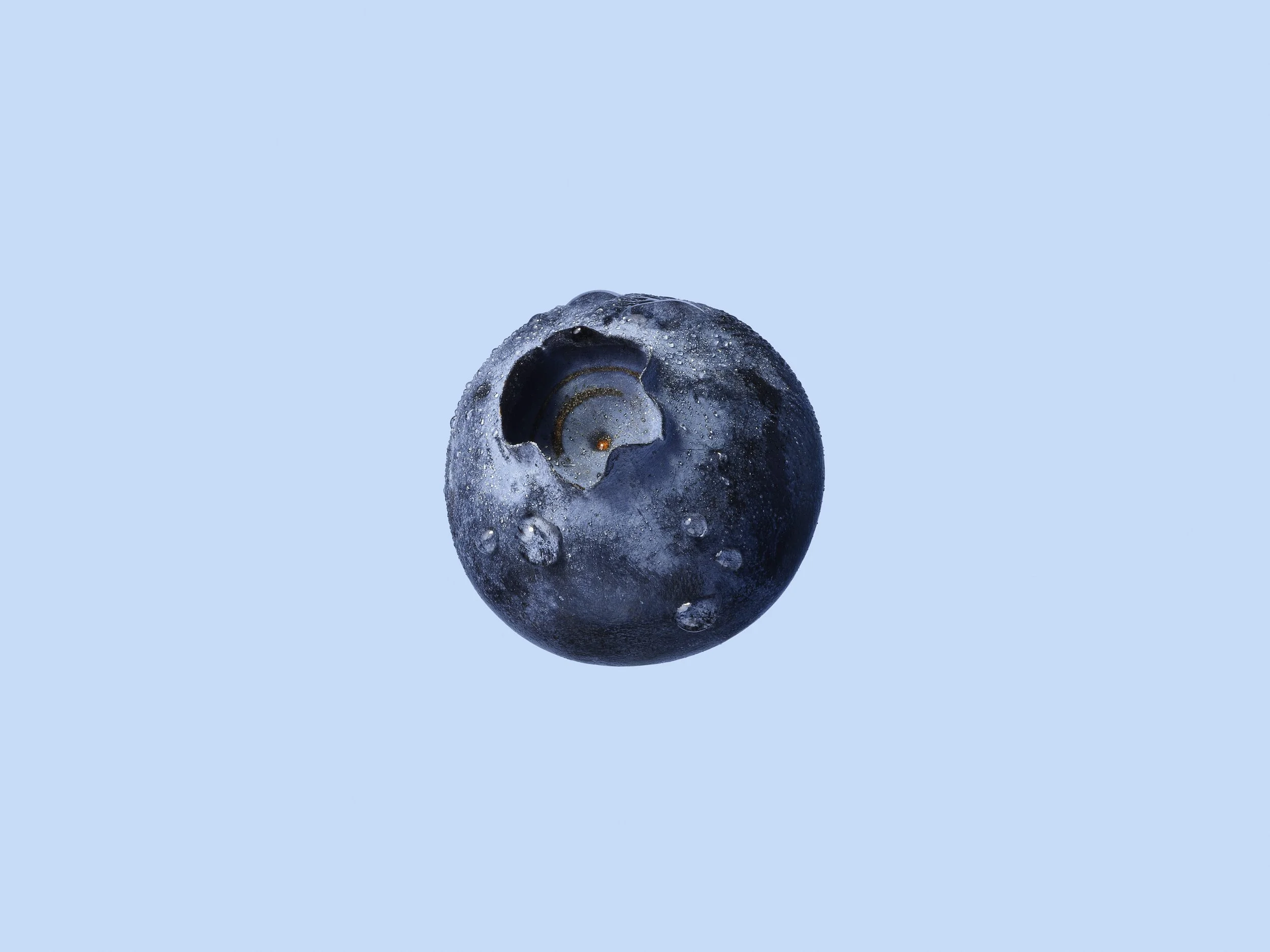 250401-Shot_02_Blueberry_Helicron_Hero_04.jpg