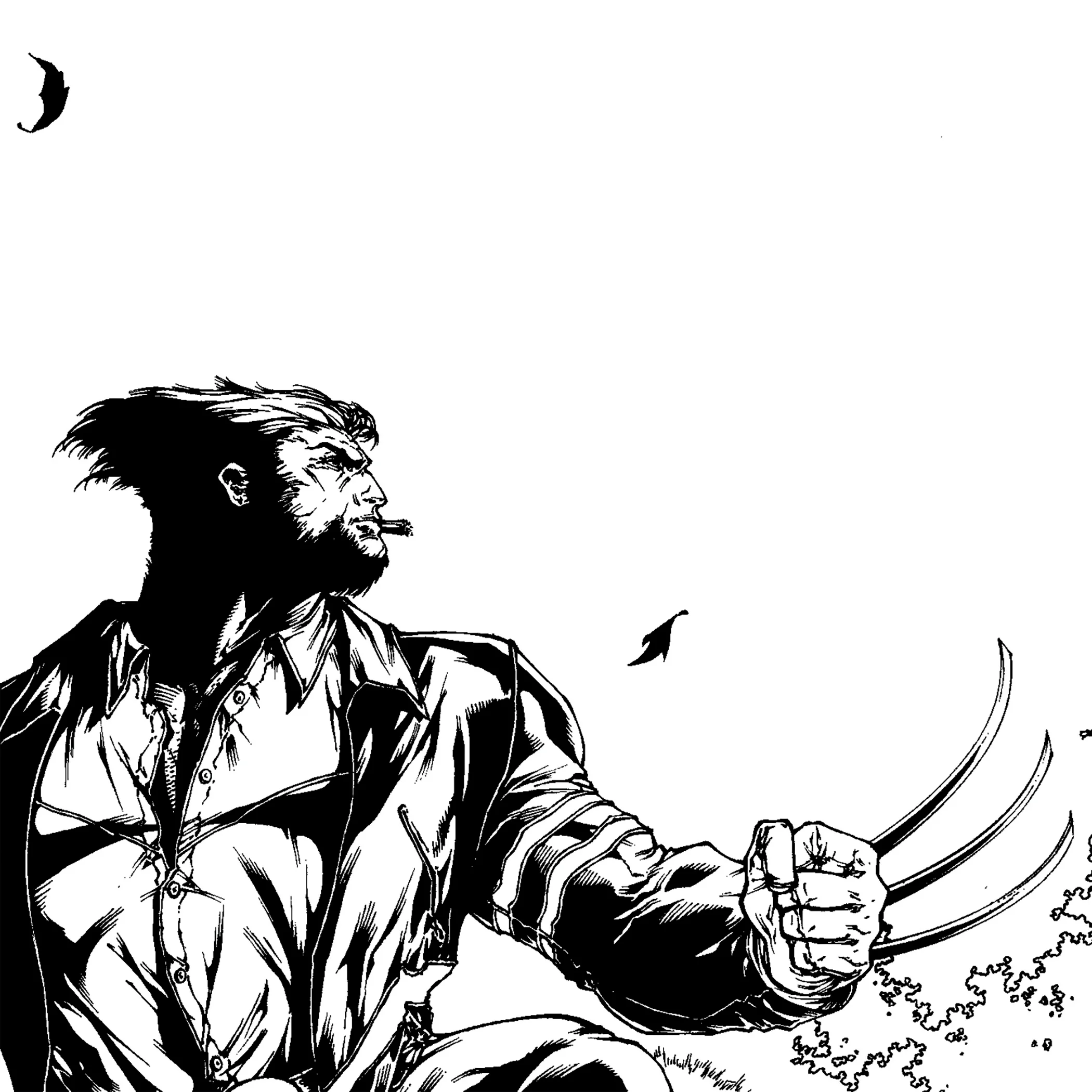 Wolverine_01v02_Crop_Ink_HD_Zoom_RGB.jpg
