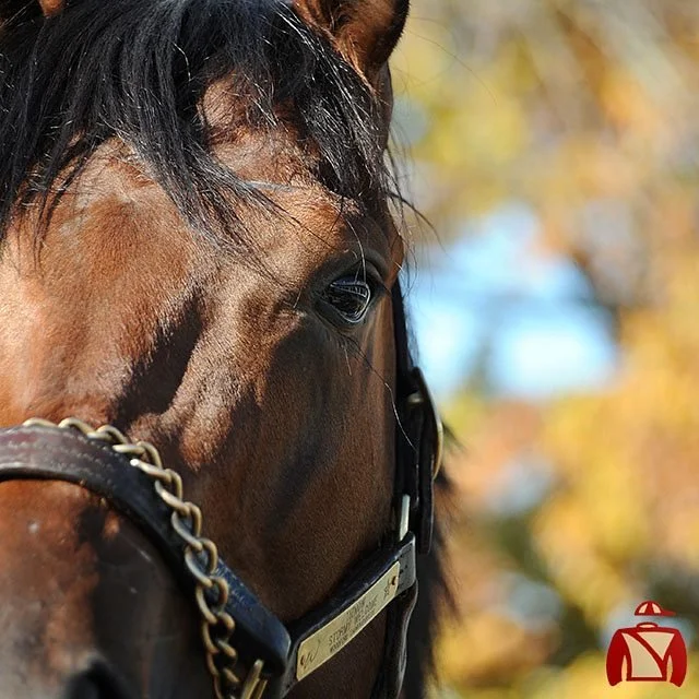 Meet Centennial Farms