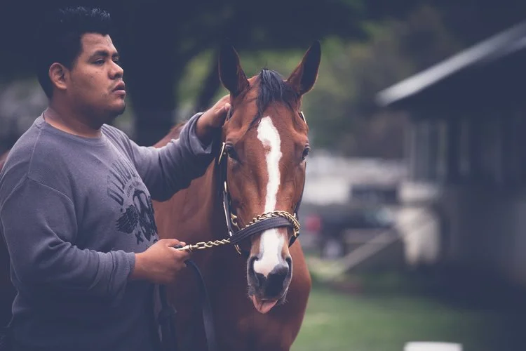 Feature: Working with the B.E.S.T.