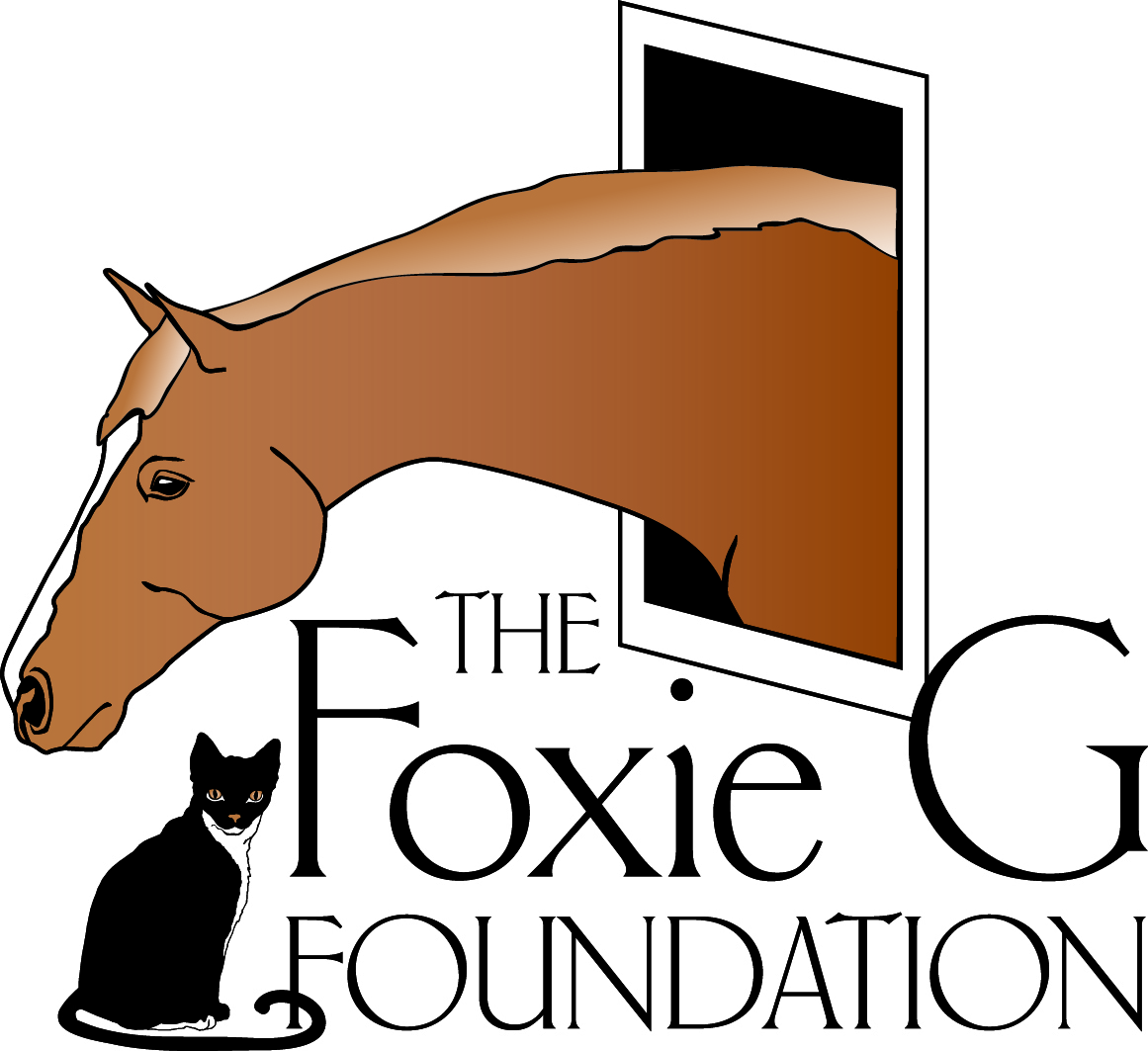 The Foxie G Foundation