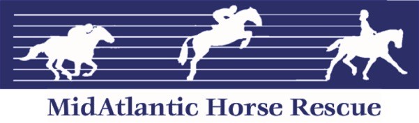 Mid-Atlantic Horse Rescue