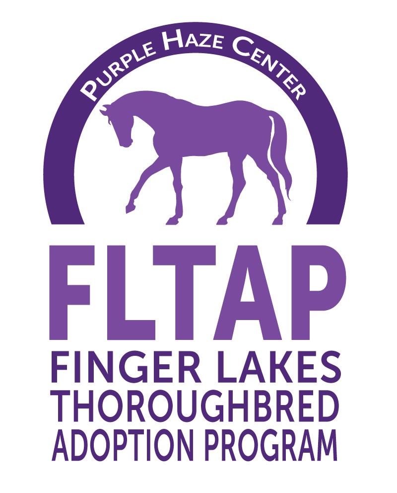 Finger Lakes_Logo.jpg