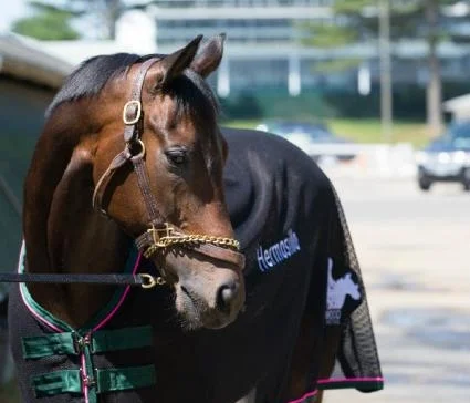 Kenwood Racing’s “Taste of Thoroughbred Ownership”®