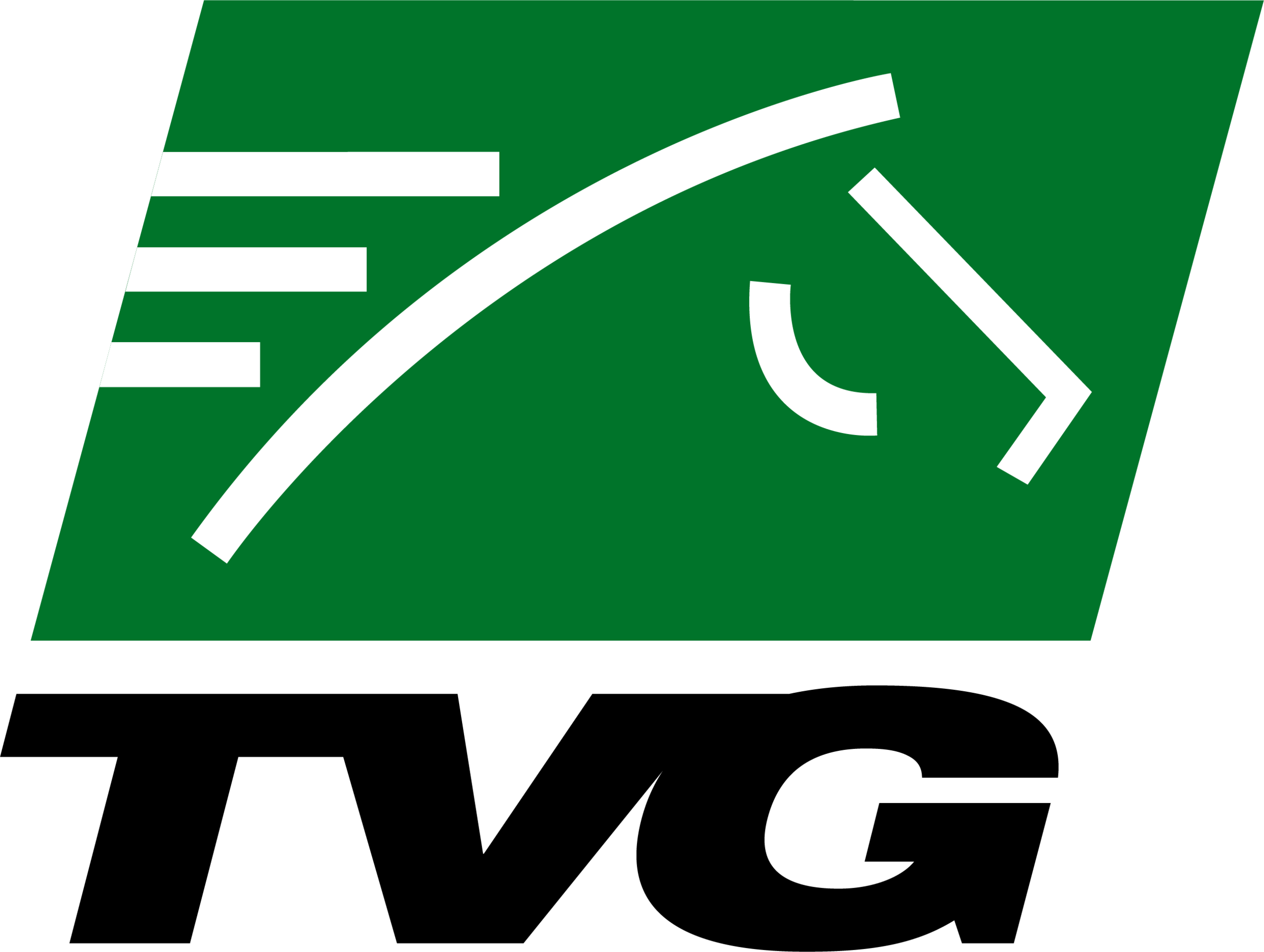 TVG logo.png