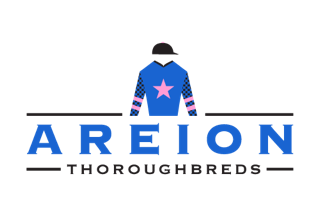 AreionThoroughbreds-Logo-Silks-WEB.png