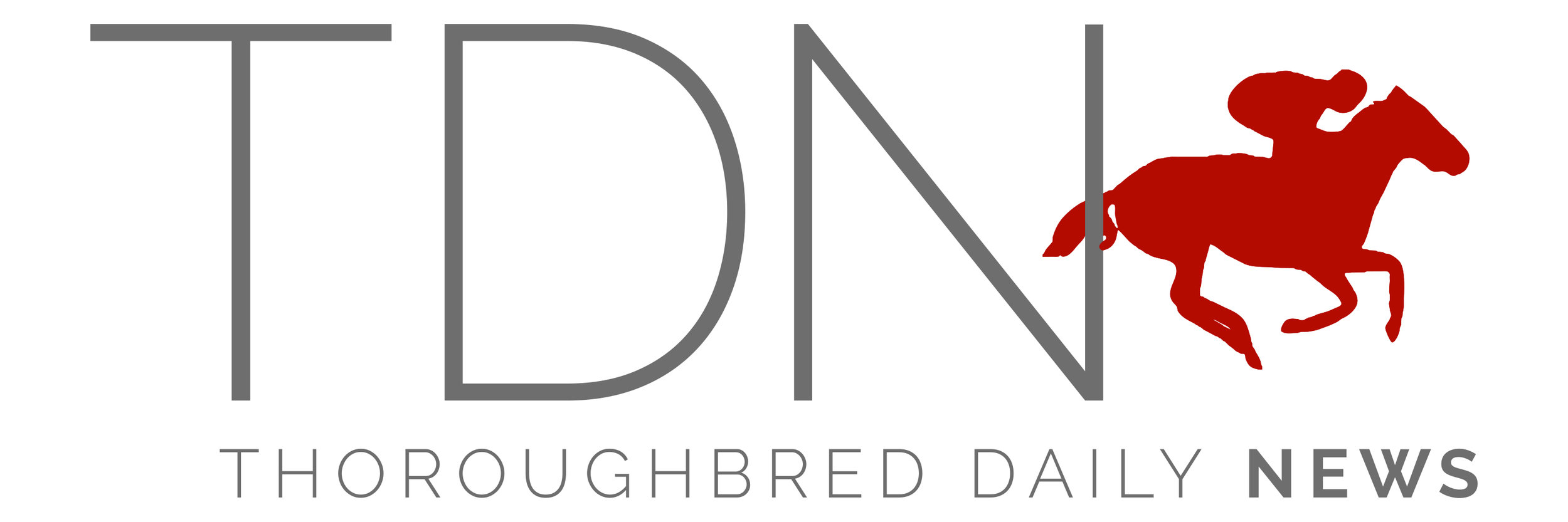 TDNLogo-2016.jpg