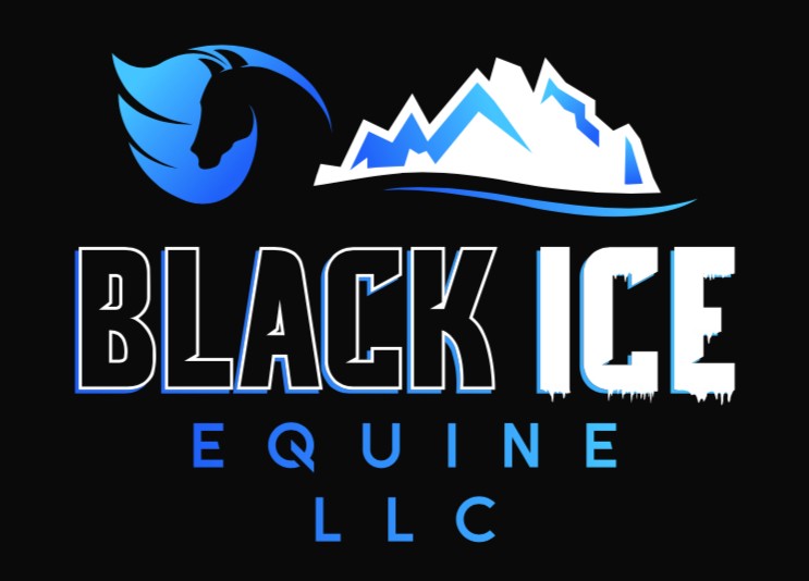 Black Ice LLC LogoGood.jpg
