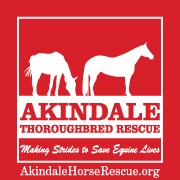 akindale tb rescue.jpg