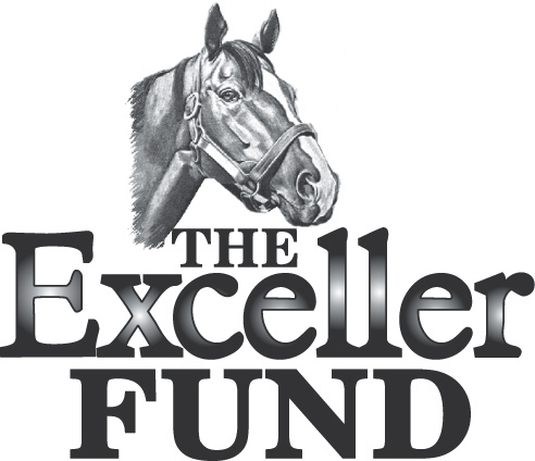 The Exceller Fund Logo.jpg