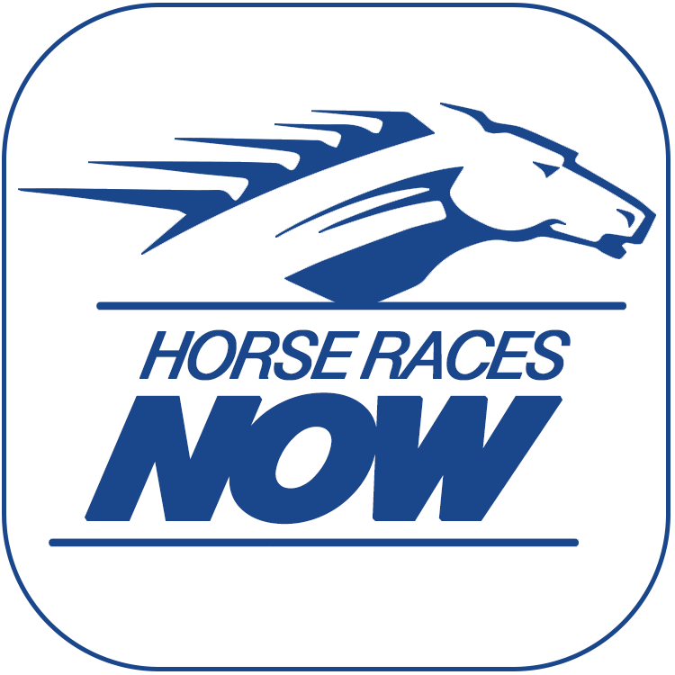 horse races now logo.png