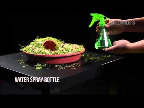 Empty Tomb #CraftCornerNAD (Copy)