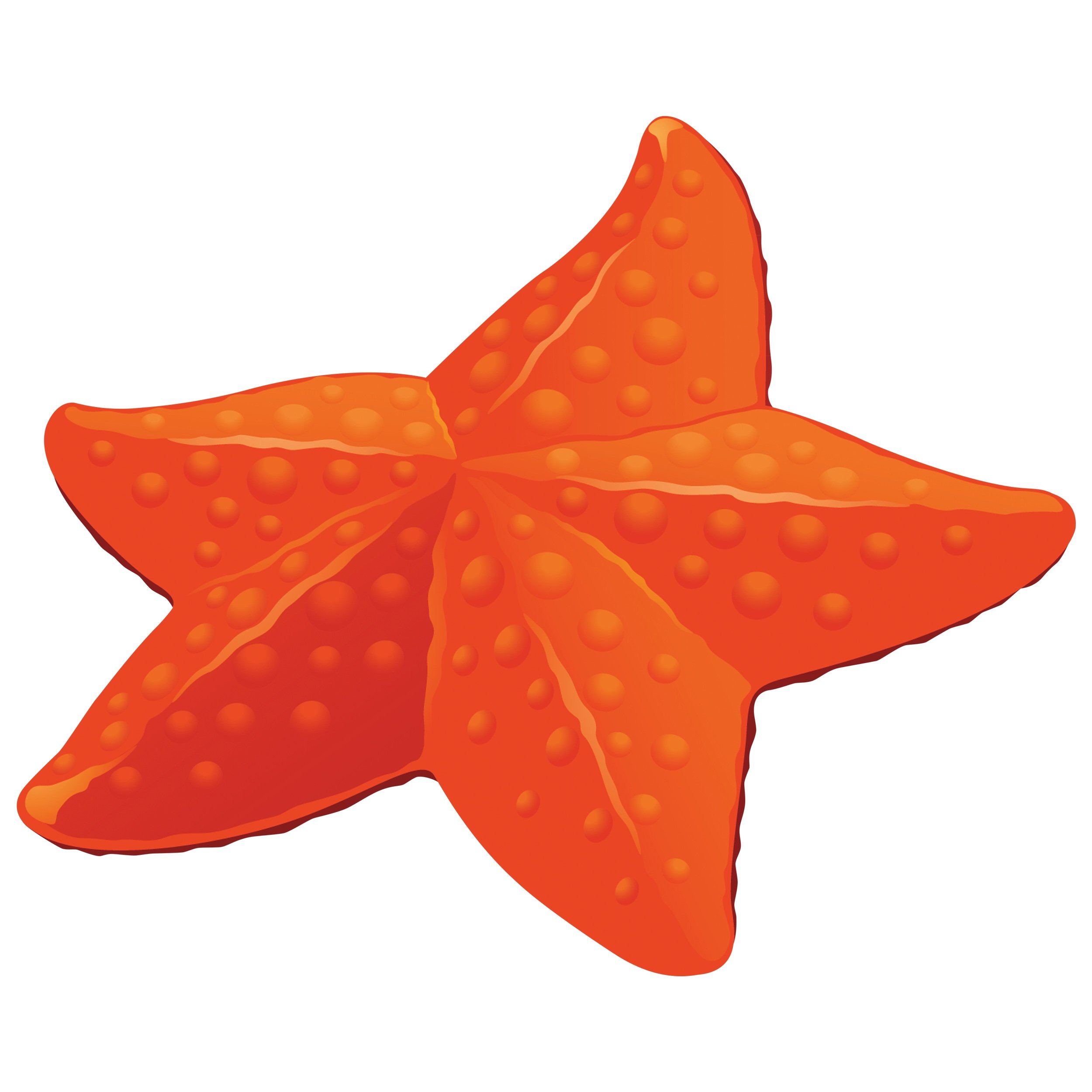 Starfish | Ages 6-9