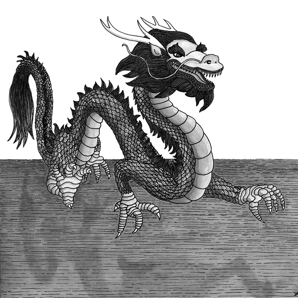 Dragon