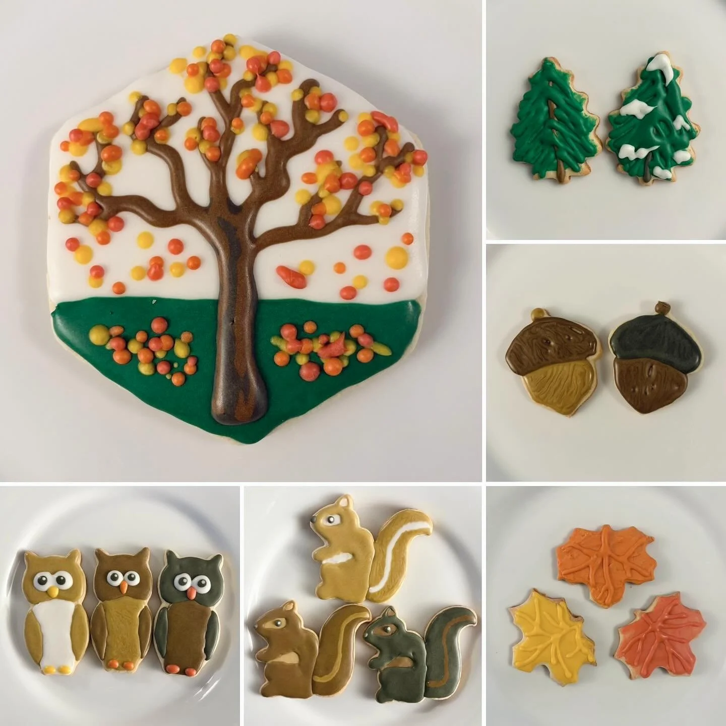Autumn Cookies 🍂 Came up with some original designs this time 👩&zwj;🎨 Still working on techniques but super happy with how these came out 😍 Special thanks to @sugarroom.nyc for always having everything I need and giving me tips 👨&zwj;🍳