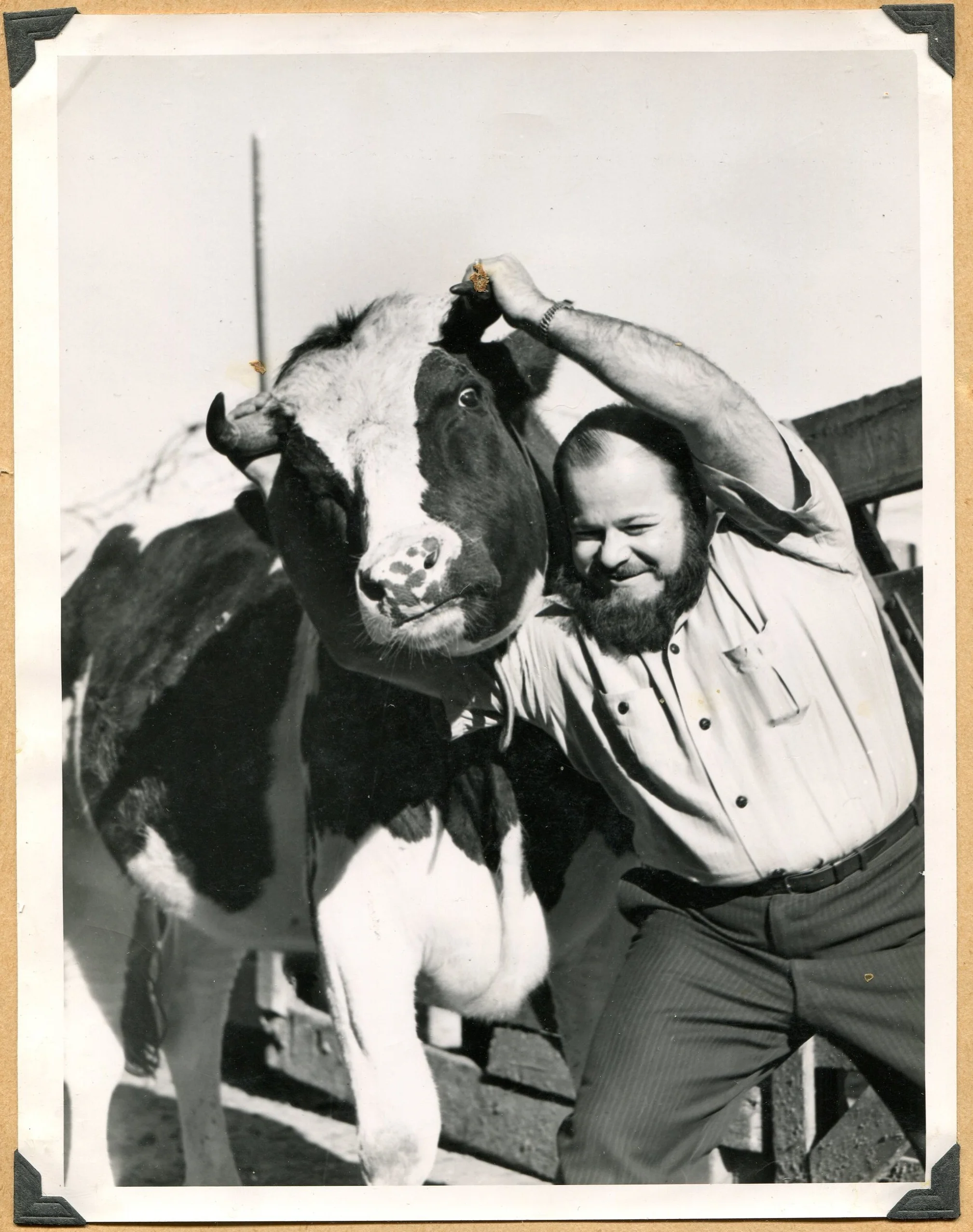 COW TIPPING.