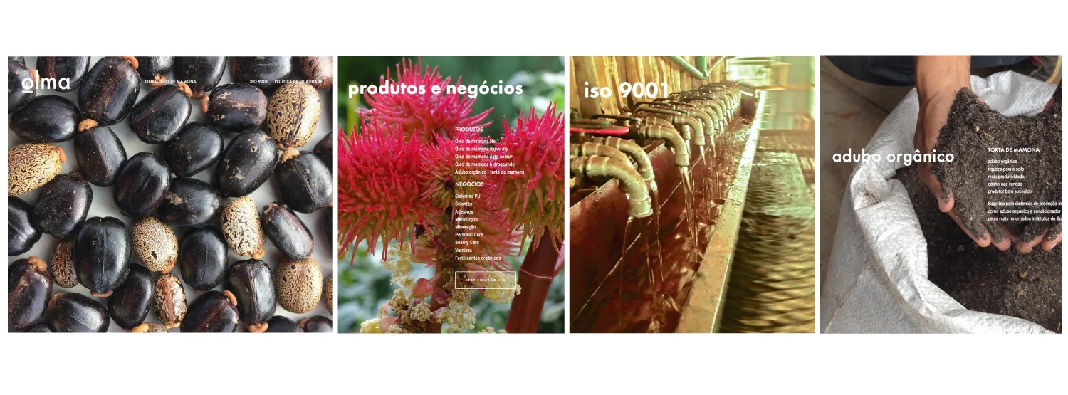 projeto gráfico 2019