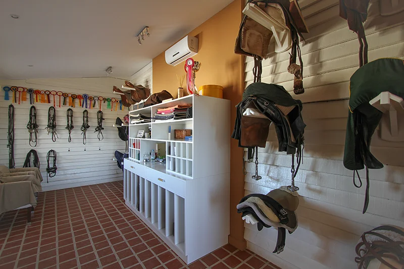Equestre-7521.jpg