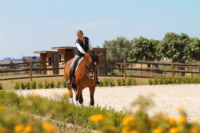 Equestre-7885.jpg