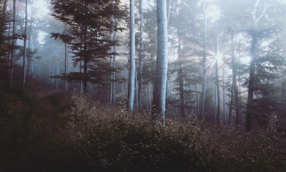 Foto: Sebastian Unrau