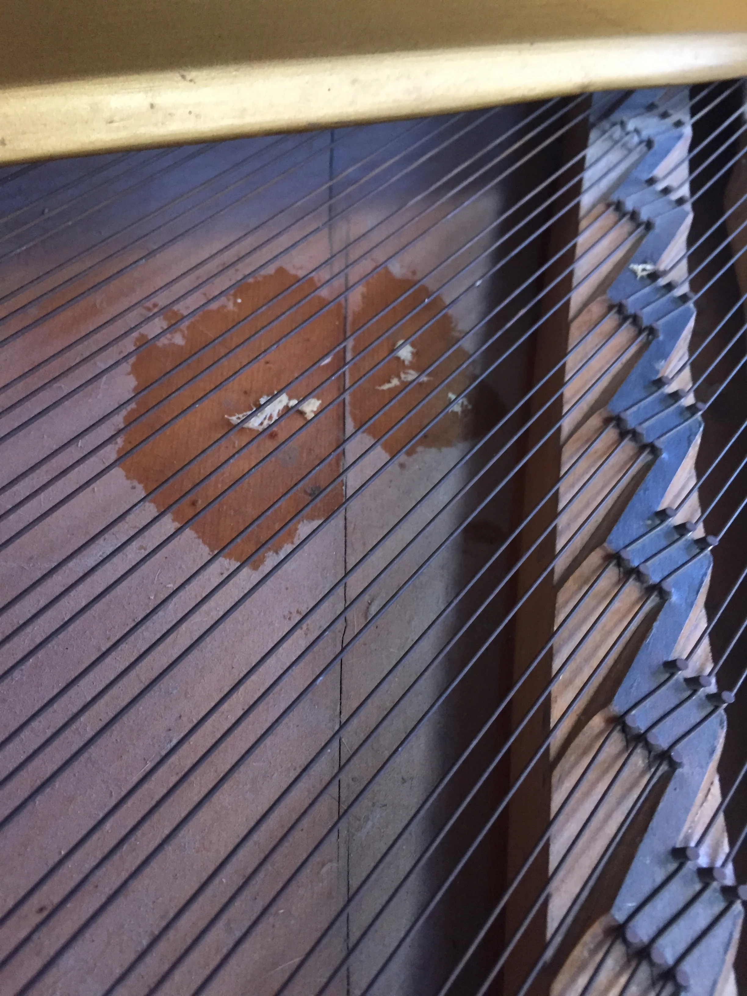 Badly split soundboard, corroded strings, broken bridges and ingrained dirt