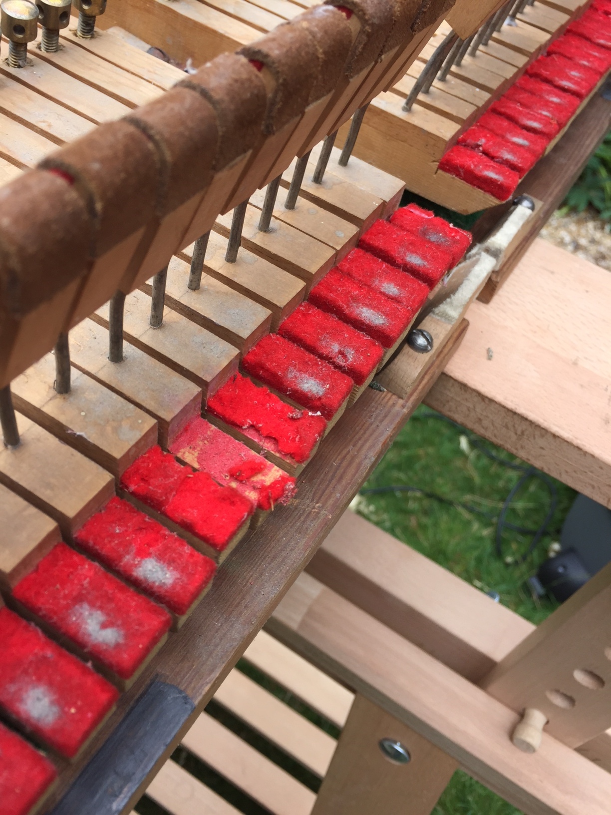 Moth eaten felts