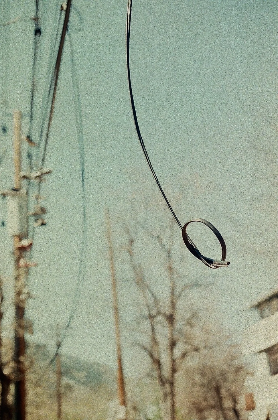 01790013.jpg