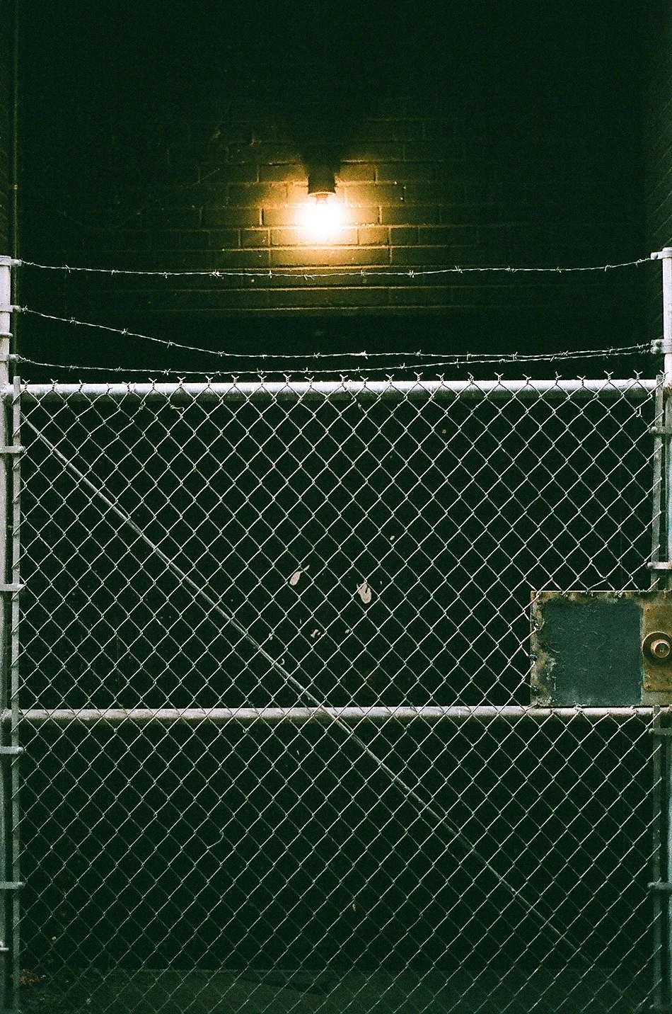 01850013.jpg