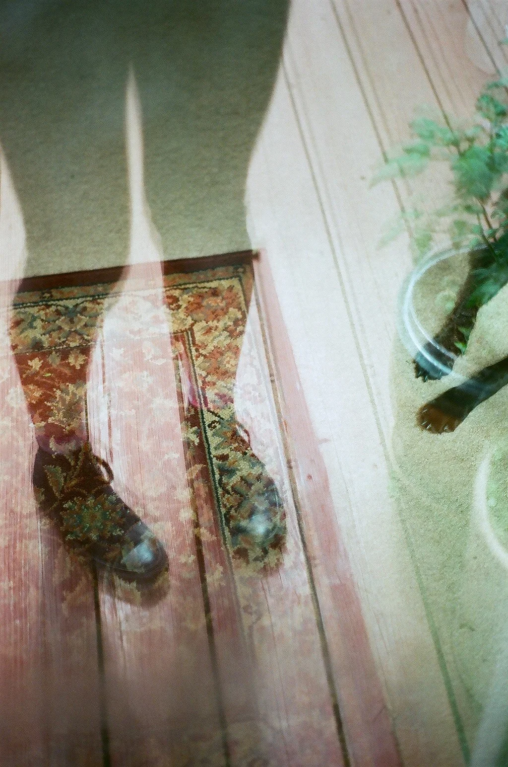 05390007.jpg