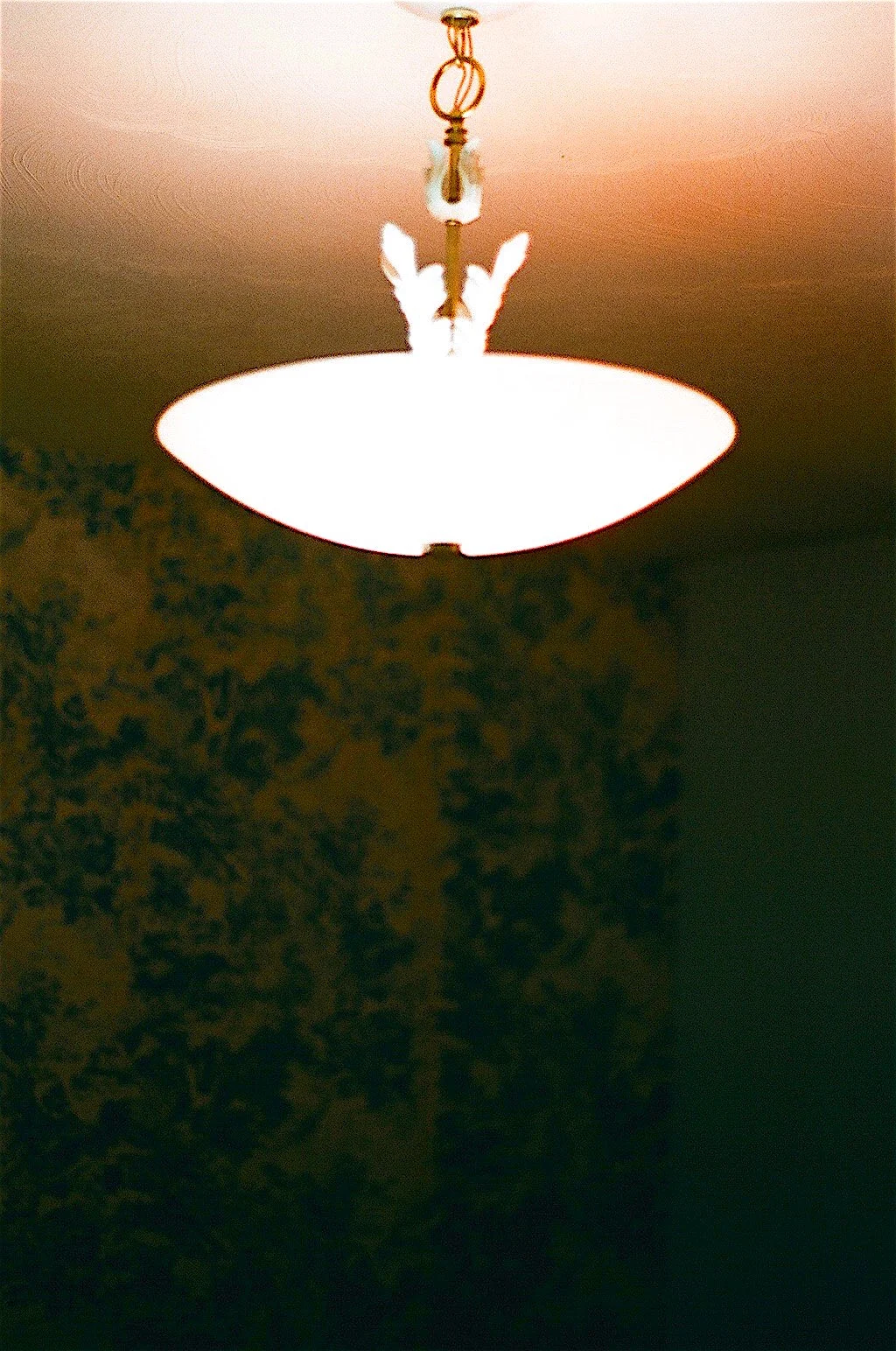 08730016.jpg