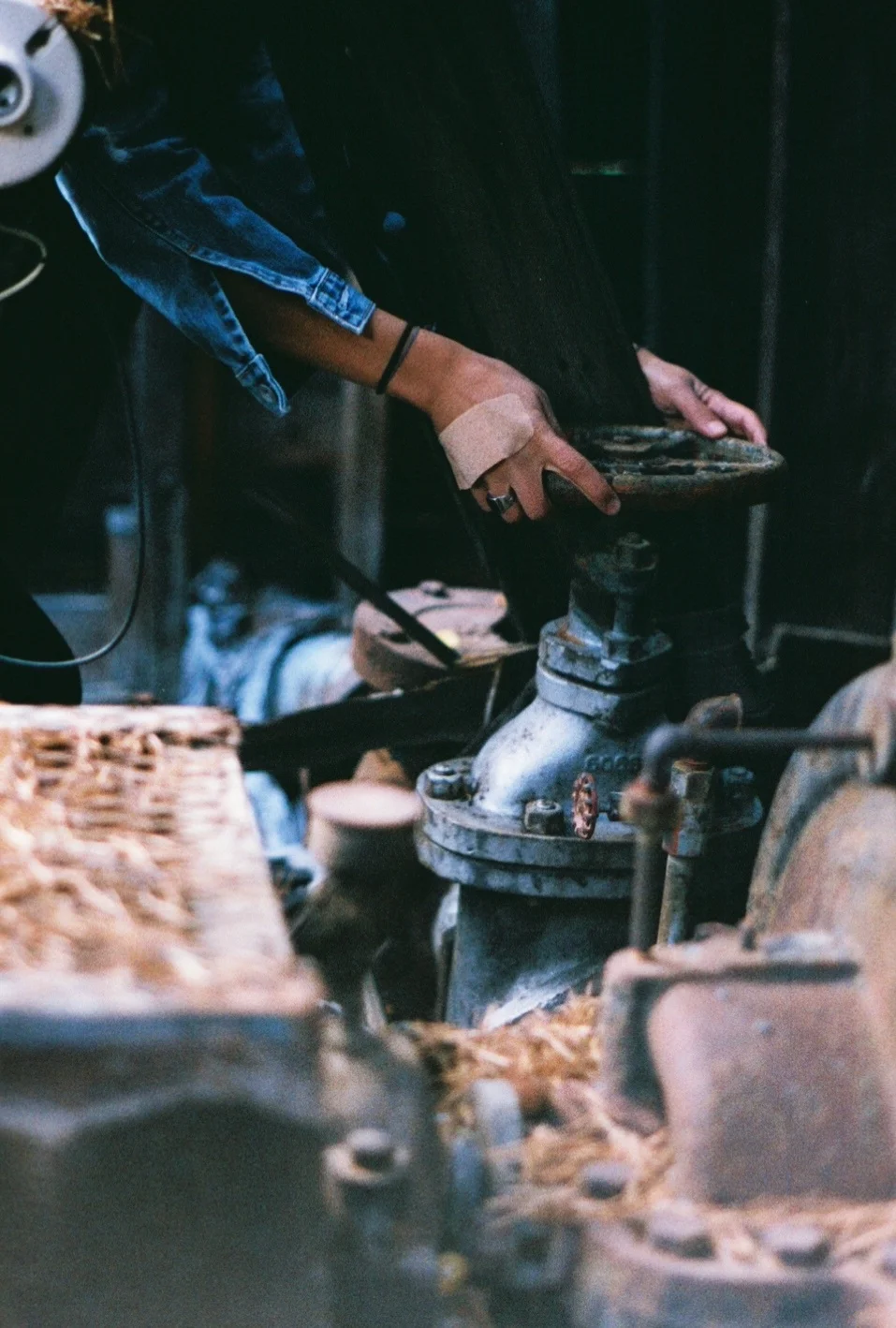  35mm Photography    
