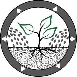 AMN Verde_Button_bunt.png