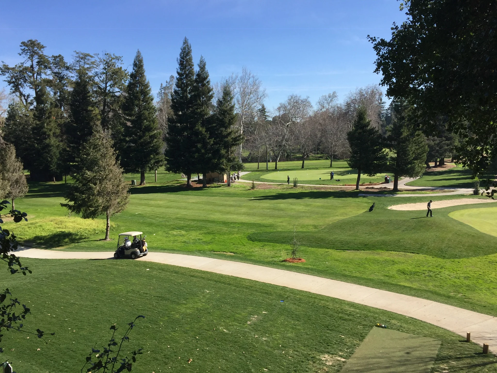 Golf3.JPG