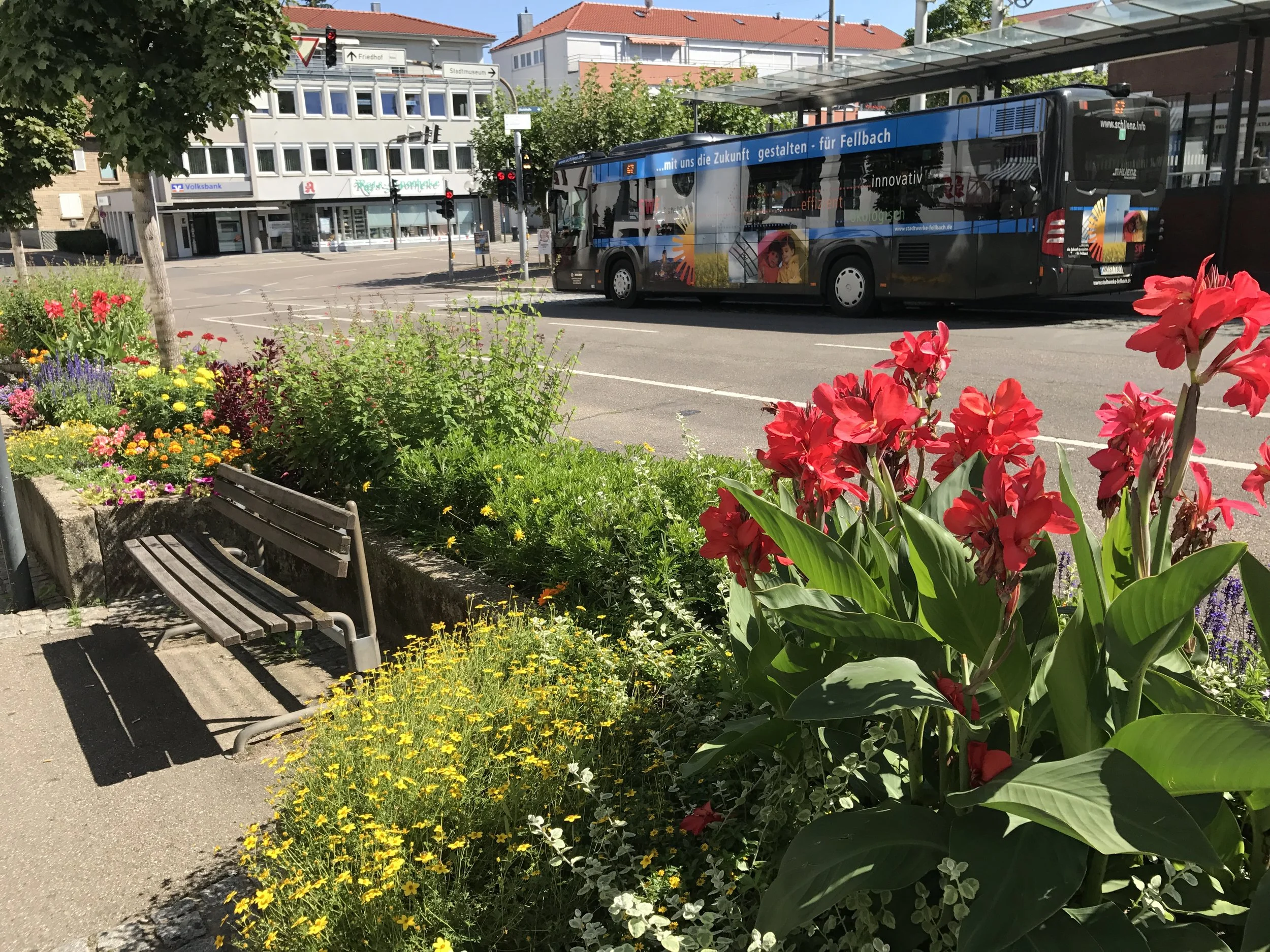 Öffentliches Grün 1.JPG