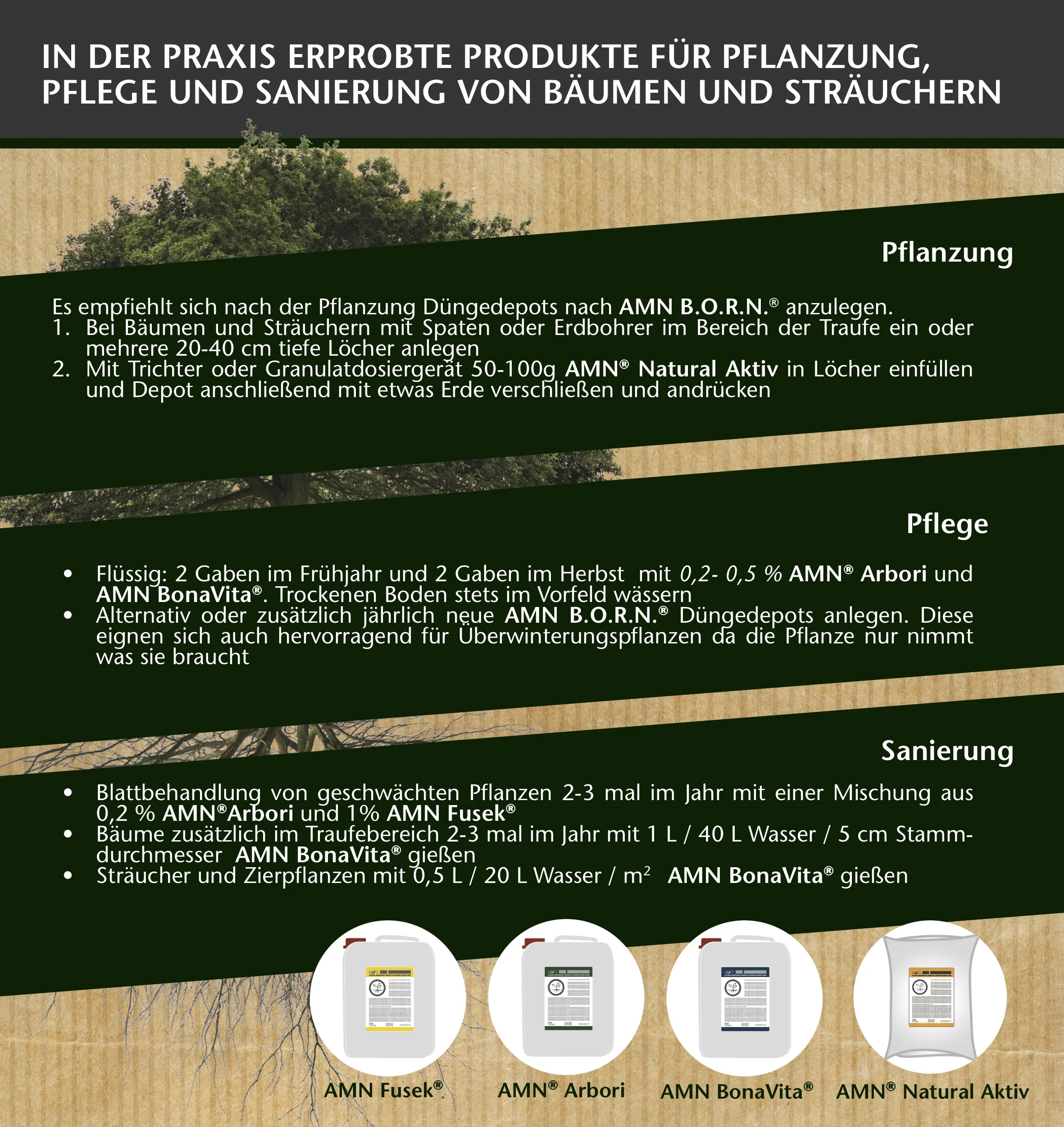 Flyer Baumpflege 2019_2.jpg