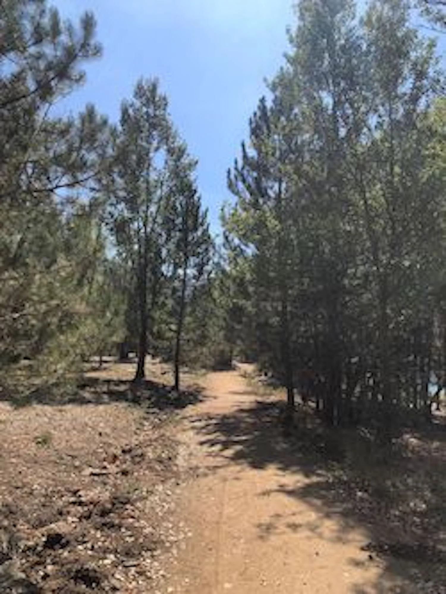 lake goluk 2.jpeg