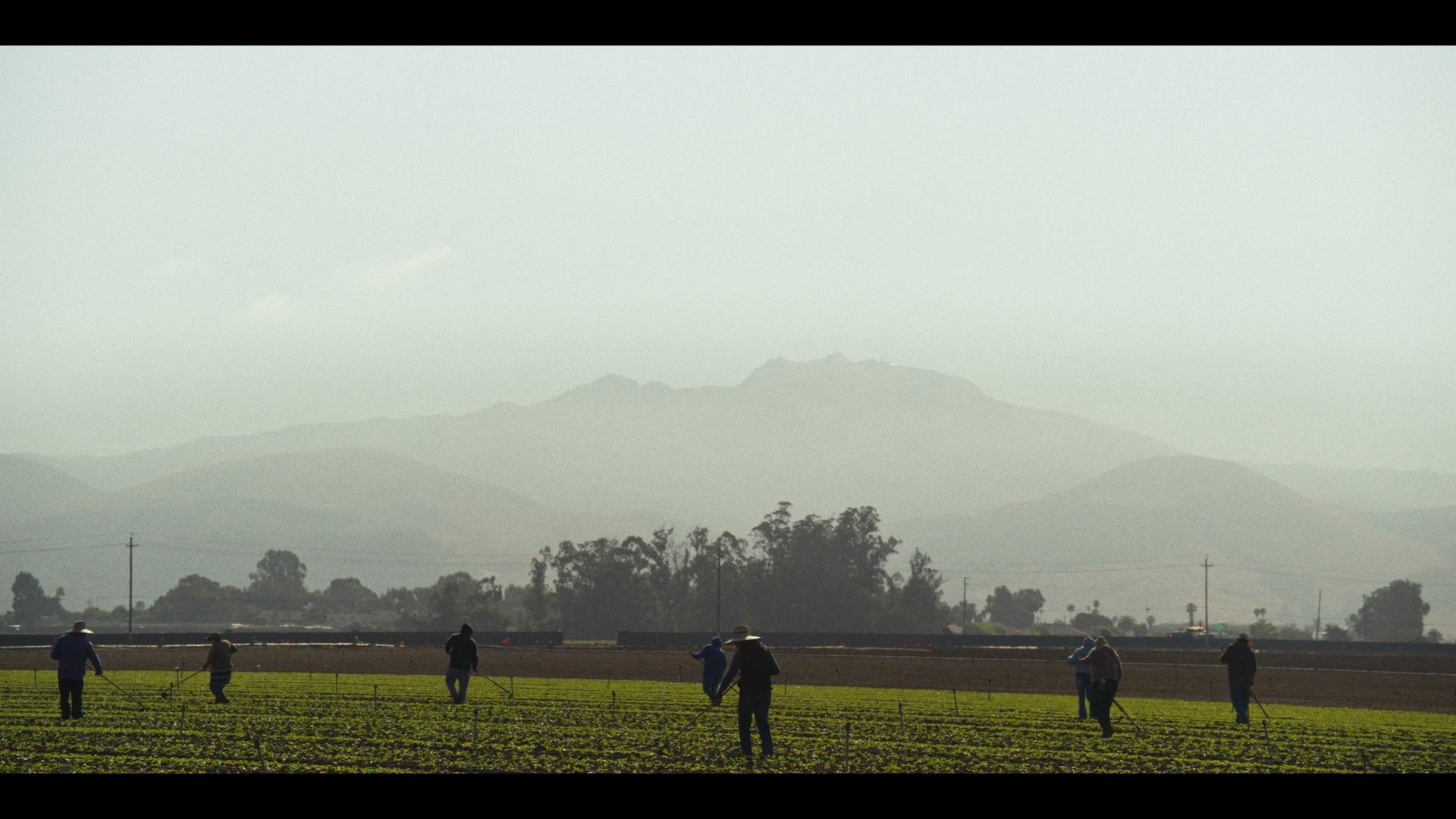 Still 2026-01-22 102936_1.1.11.jpg