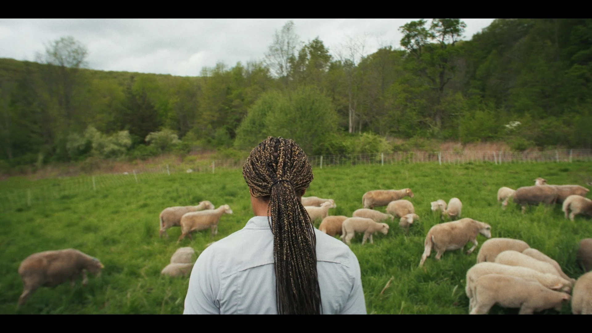 Still 2026-01-22 102936_1.1.16.jpg