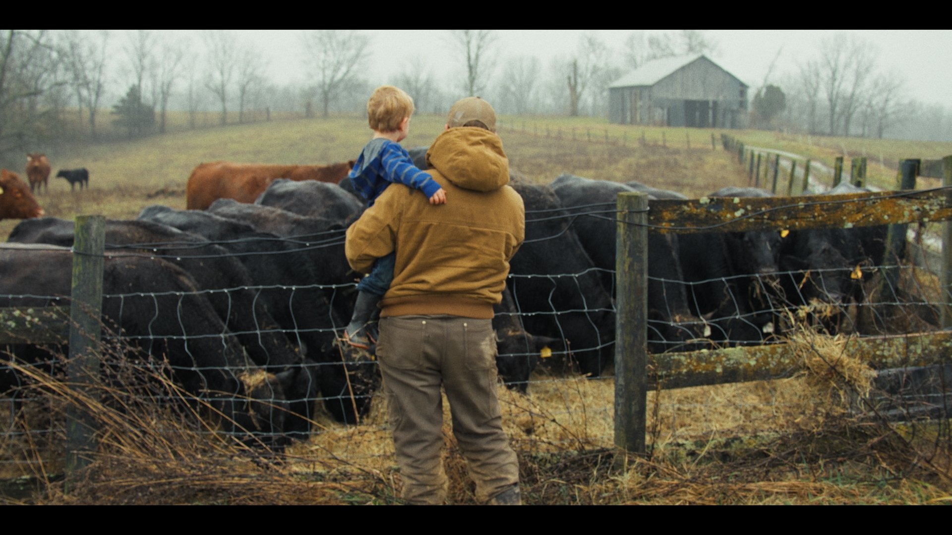 Still 2026-01-22 102936_1.1.3.jpg