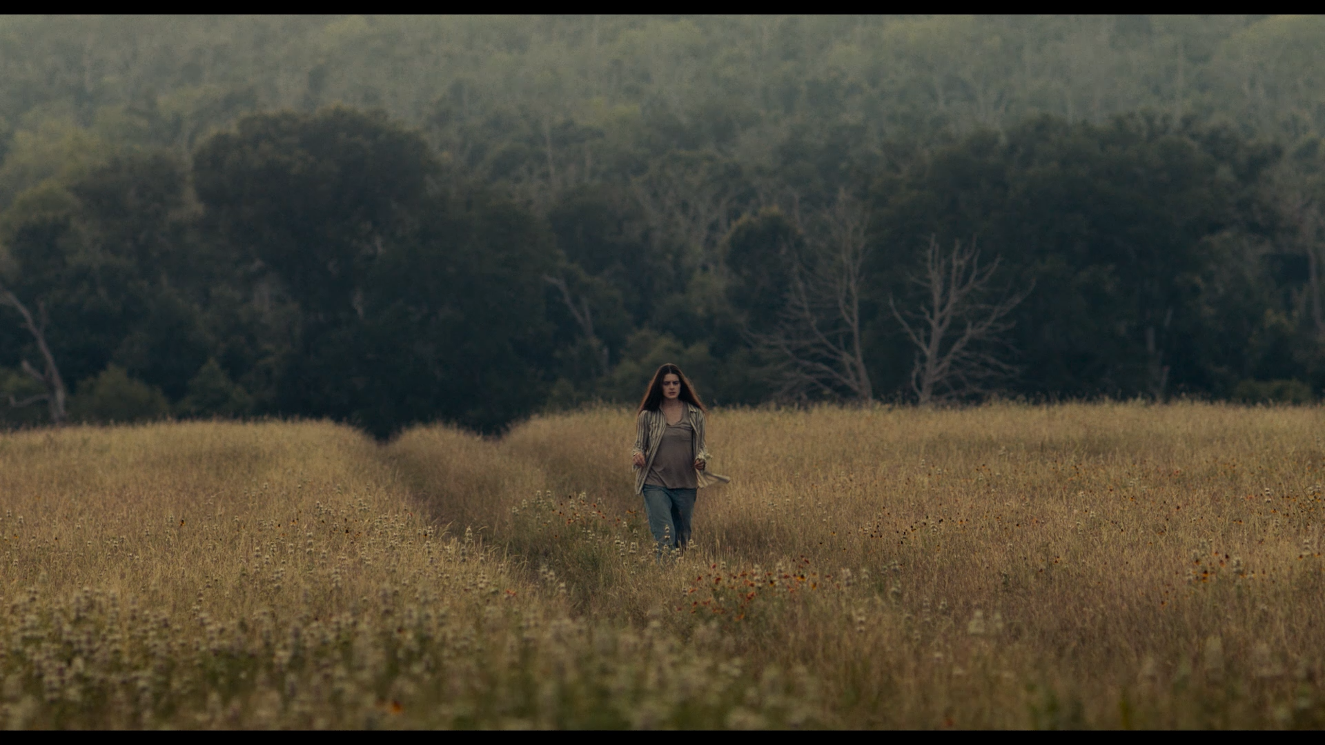 Still 2025-11-04 165110_1.1.9.png