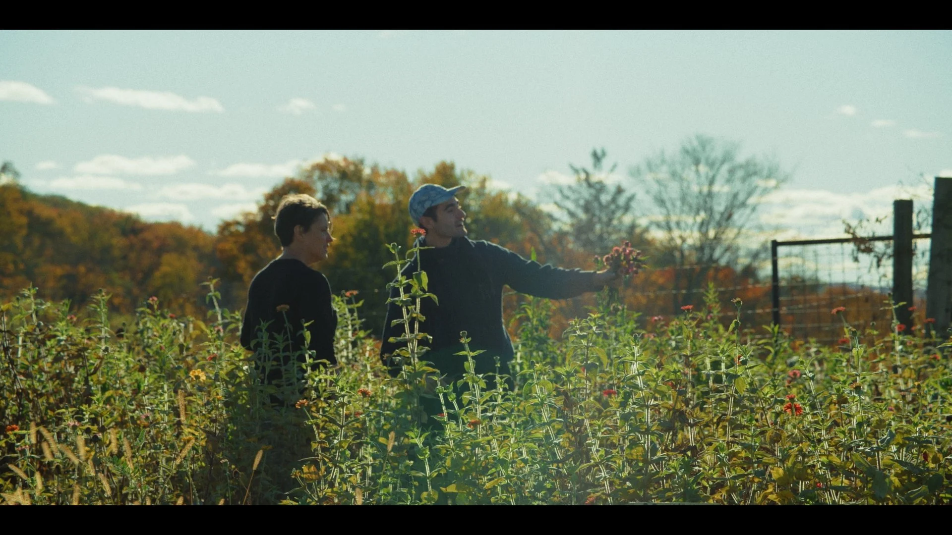 Still 2026-01-22 102936_1.1.15.jpg